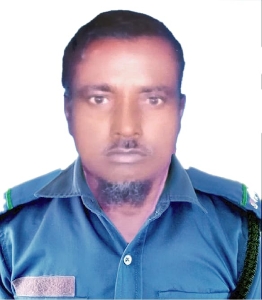 মোঃ আঃ আলী